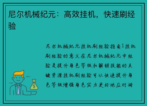 尼尔机械纪元：高效挂机，快速刷经验